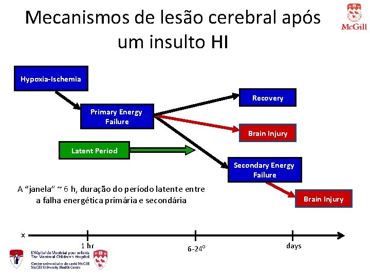 Mecanismos de lesão cerebral após um insulto HI Hypoxia-Ischemia Recovery Primary Energy Failure Brain