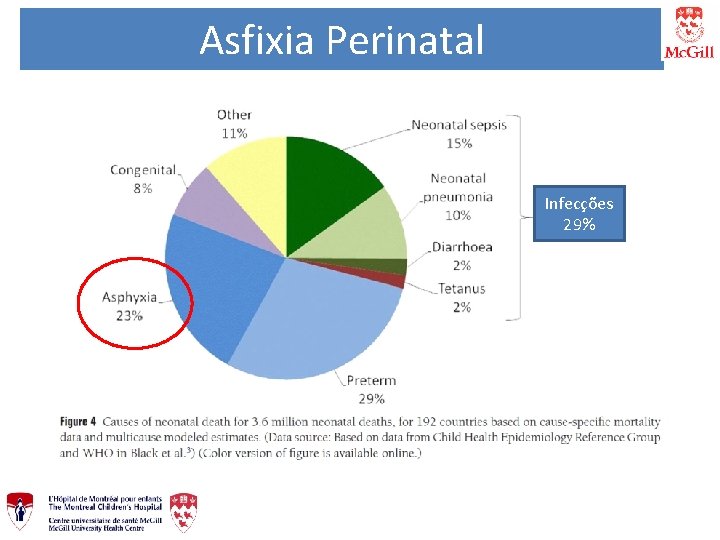 Asfixia Perinatal Infecções 29% 