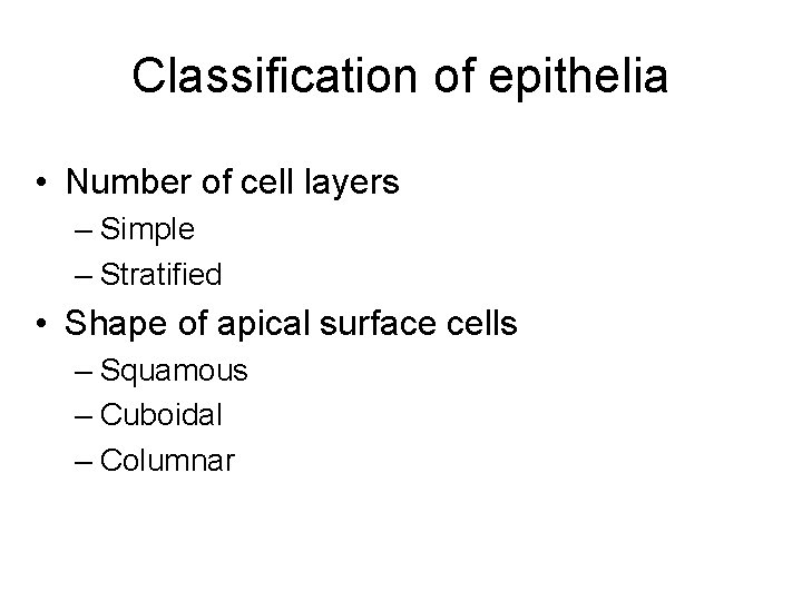 Classification of epithelia • Number of cell layers – Simple – Stratified • Shape