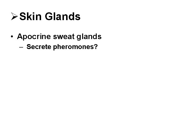 ØSkin Glands • Apocrine sweat glands – Secrete pheromones? 