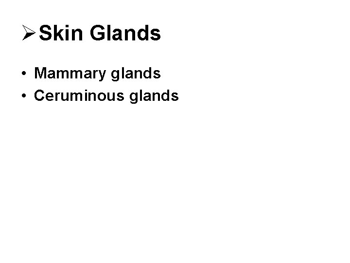ØSkin Glands • Mammary glands • Ceruminous glands 