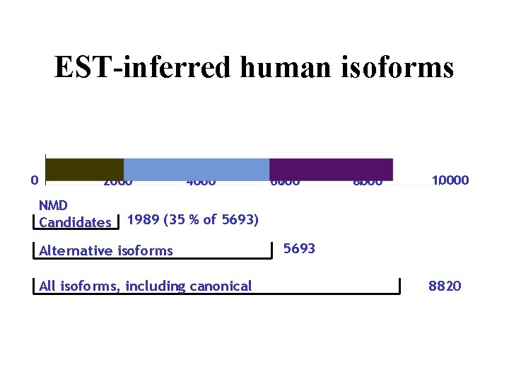 EST-inferred human isoforms 0 2000 NMD Candidates 4000 6000 8000 10000 1989 (35 %