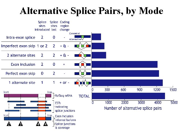 Alternative Splice Pairs, by Mode 