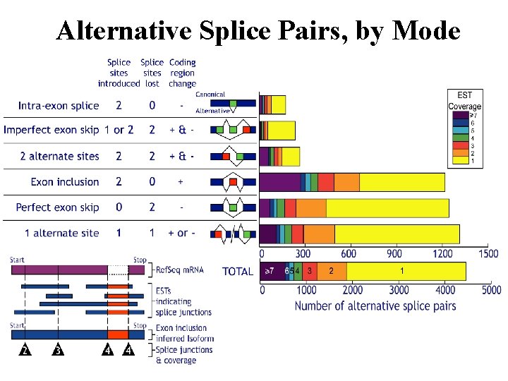 Alternative Splice Pairs, by Mode 