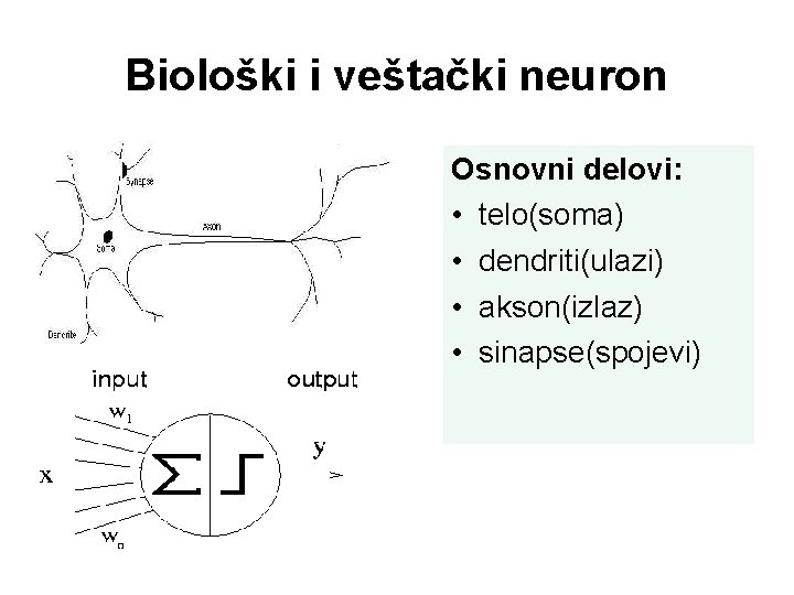 Biološki i veštački neuron Osnovni delovi: • telo(soma) • dendriti(ulazi) • akson(izlaz) • sinapse(spojevi)