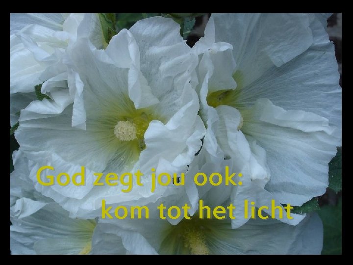 God zegt jou ook: kom tot het licht 