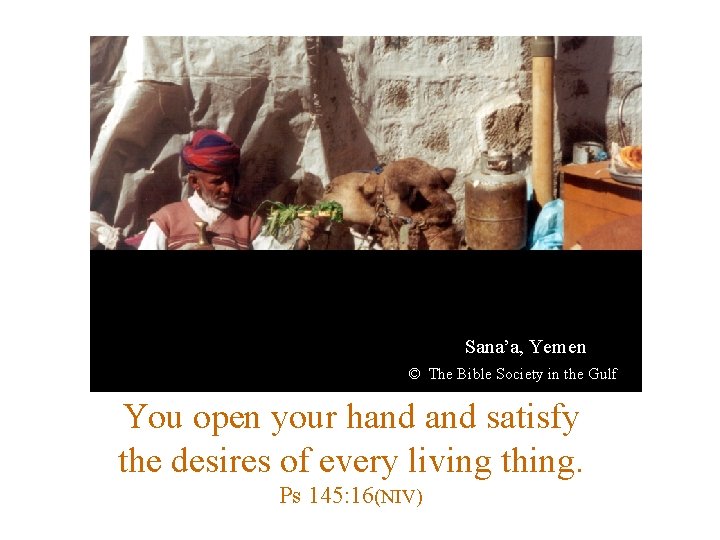 Sana’a, Yemen © The Bible Society in the Gulf You open your hand satisfy