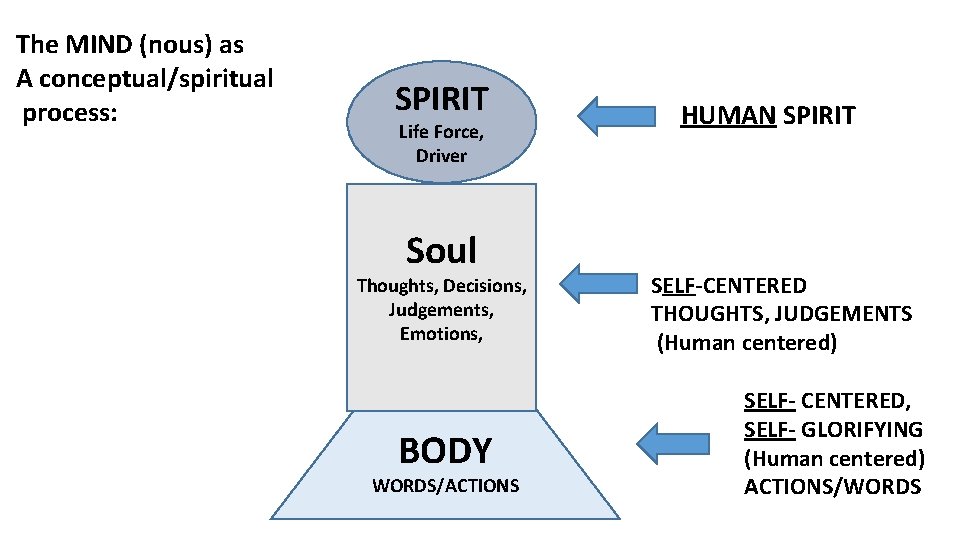 The MIND (nous) as A conceptual/spiritual process: SPIRIT Life Force, Driver Soul Thoughts, Decisions,