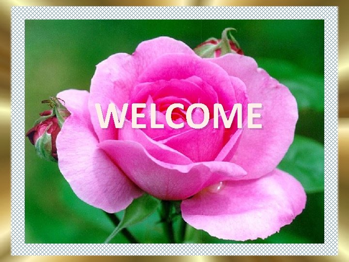 WELCOME 