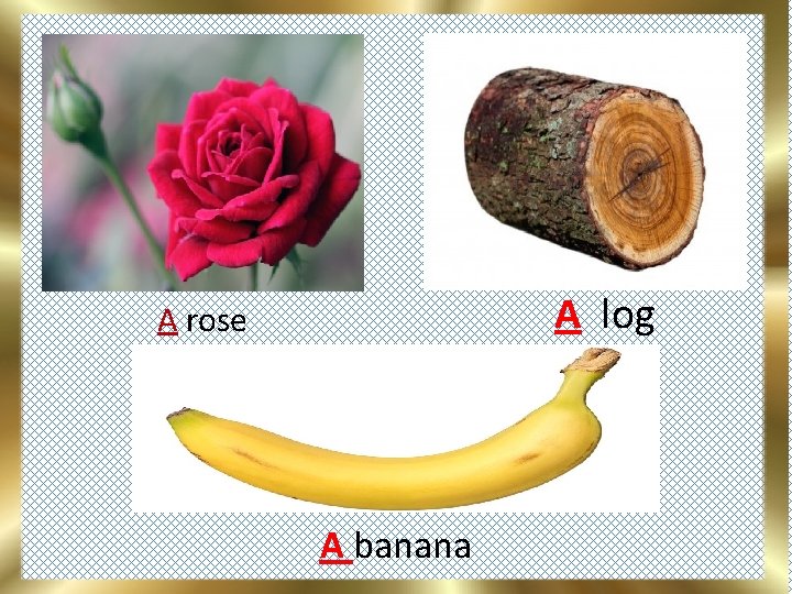 A log A rose A banana 