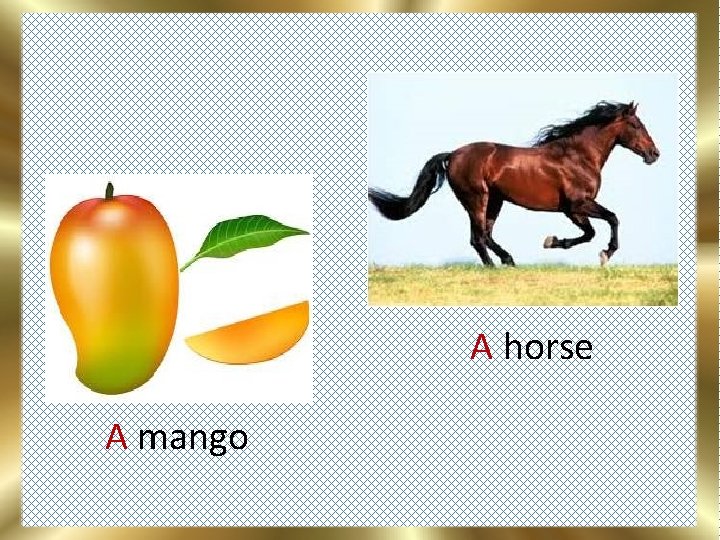 A horse A mango 