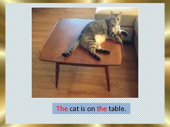 The cat is on the table. 