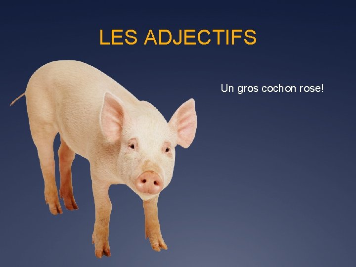 LES ADJECTIFS Un gros cochon rose! 