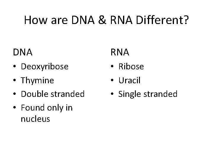 How are DNA & RNA Different? DNA • • Deoxyribose Thymine Double stranded Found