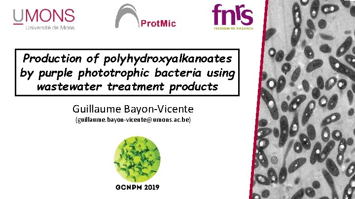 Production of polyhydroxyalkanoates by purple phototrophic bacteria using wastewater treatment products Guillaume Bayon-Vicente (guillaume.