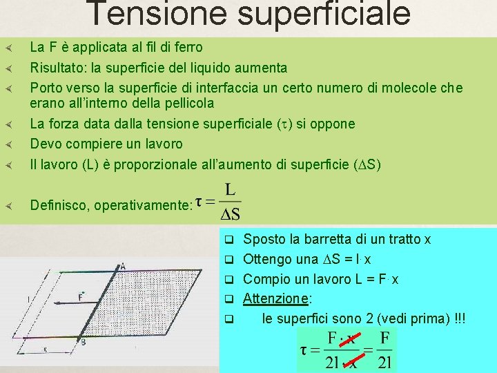 Tensione superficiale La F è applicata al fil di ferro Risultato: la superficie del Tensione superficiale La F è applicata al fil di ferro Risultato: la superficie del