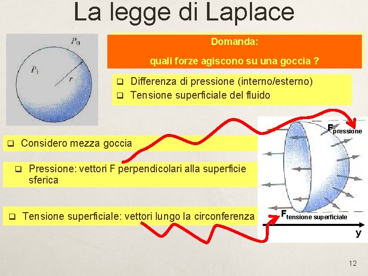 La legge di Laplace Domanda: quali forze agiscono su una goccia ? q Differenza La legge di Laplace Domanda: quali forze agiscono su una goccia ? q Differenza