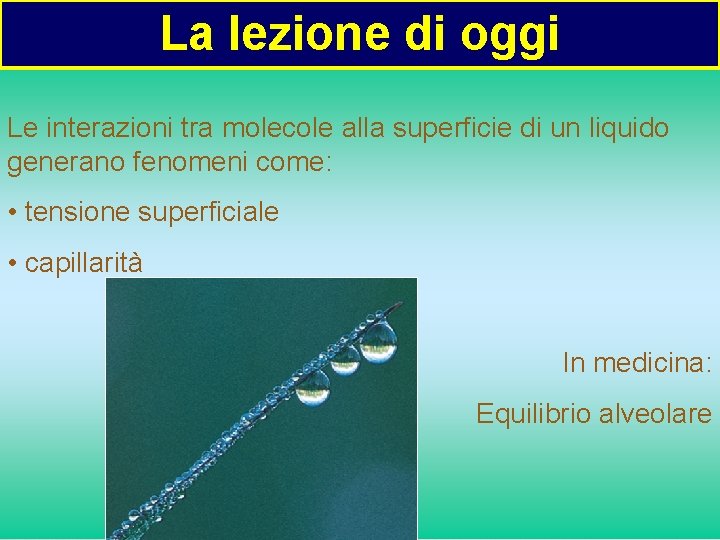 La lezione di oggi Le interazioni tra molecole alla superficie di un liquido generano La lezione di oggi Le interazioni tra molecole alla superficie di un liquido generano