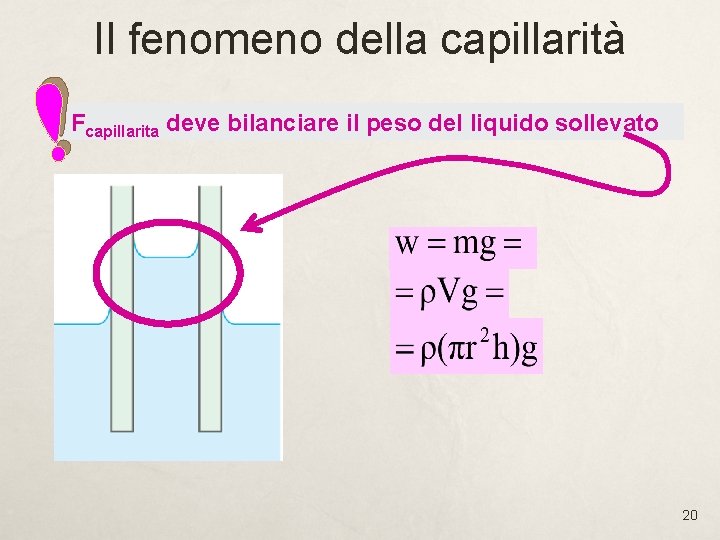 Il fenomeno della capillarità Fcapillarita deve bilanciare il peso del liquido sollevato 20 Il fenomeno della capillarità Fcapillarita deve bilanciare il peso del liquido sollevato 20