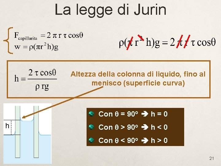 La legge di Jurin Altezza della colonna di liquido, fino al menisco (superficie curva) La legge di Jurin Altezza della colonna di liquido, fino al menisco (superficie curva)