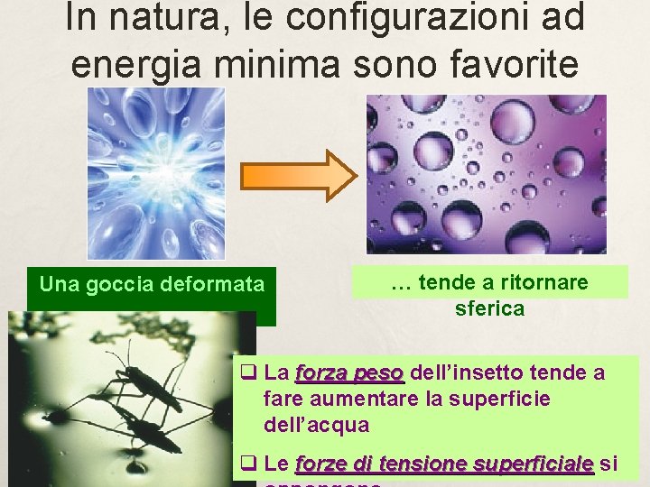 In natura, le configurazioni ad energia minima sono favorite Una goccia deformata … … In natura, le configurazioni ad energia minima sono favorite Una goccia deformata … …