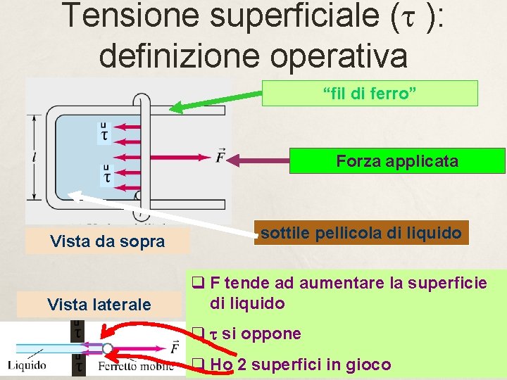 Tensione superficiale (t ): definizione operativa “fil di ferro” Forza applicata Vista da sopra Tensione superficiale (t ): definizione operativa “fil di ferro” Forza applicata Vista da sopra