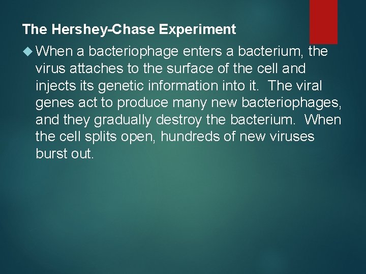The Hershey-Chase Experiment When a bacteriophage enters a bacterium, the virus attaches to the