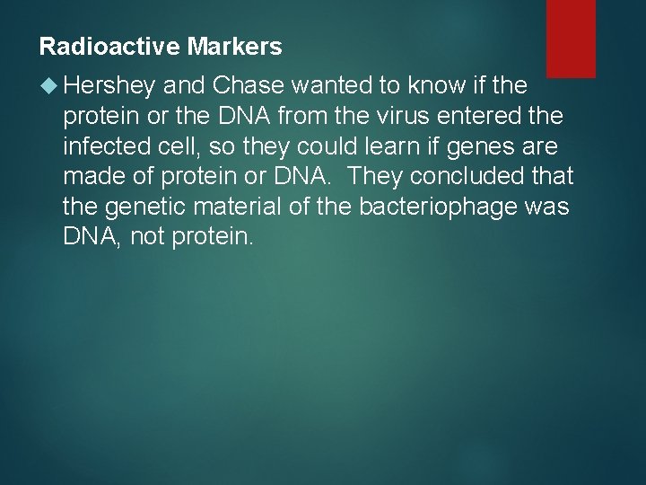 Radioactive Markers Hershey and Chase wanted to know if the protein or the DNA