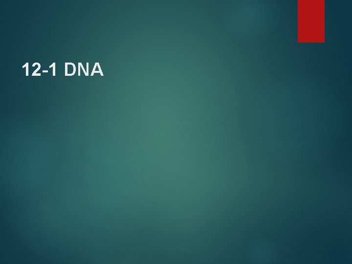 12 -1 DNA 