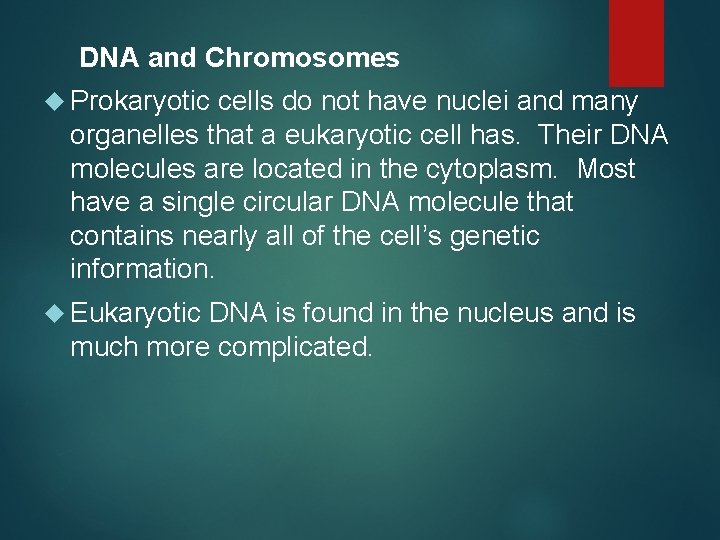 DNA and Chromosomes Prokaryotic cells do not have nuclei and many organelles that a