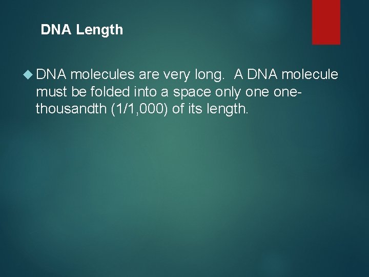 DNA Length DNA molecules are very long. A DNA molecule must be folded into