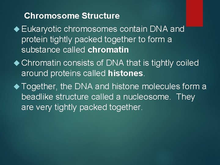 Chromosome Structure Eukaryotic chromosomes contain DNA and protein tightly packed together to form a