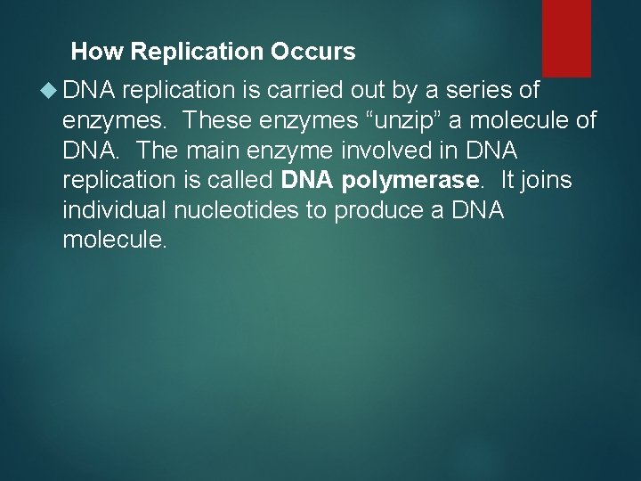 How Replication Occurs DNA replication is carried out by a series of enzymes. These