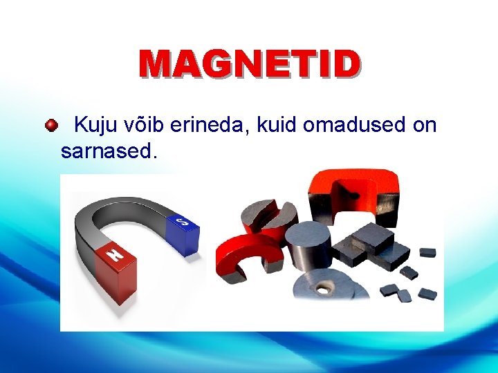 MAGNETID Kuju võib erineda, kuid omadused on sarnased. 