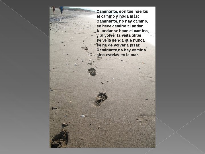 Caminante, son tus huellas el camino y nada más; Caminante, no hay camino, se