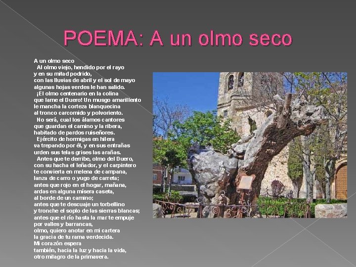 POEMA: A un olmo seco Al olmo viejo, hendido por el rayo y en