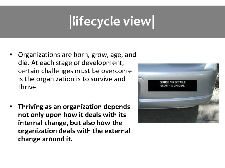 |lifecycle view| • Organizations are born, grow, age, and die. At each stage of