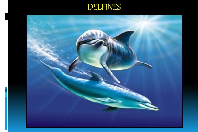 DELFINES 