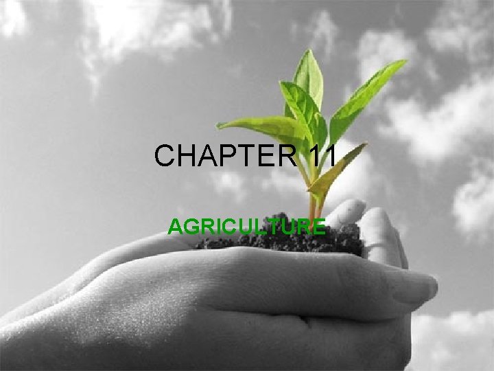 CHAPTER 11 AGRICULTURE 