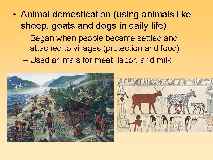  • Animal domestication (using animals like sheep, goats and dogs in daily life)