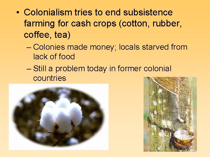  • Colonialism tries to end subsistence farming for cash crops (cotton, rubber, coffee,