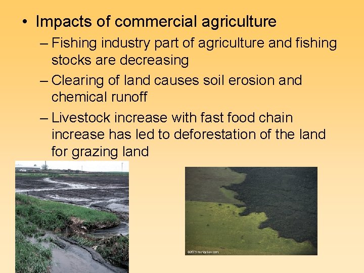  • Impacts of commercial agriculture – Fishing industry part of agriculture and fishing