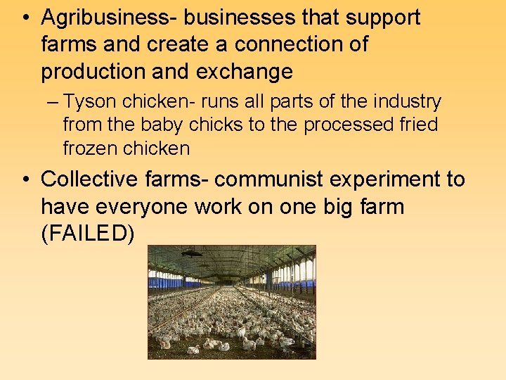  • Agribusiness- businesses that support farms and create a connection of production and