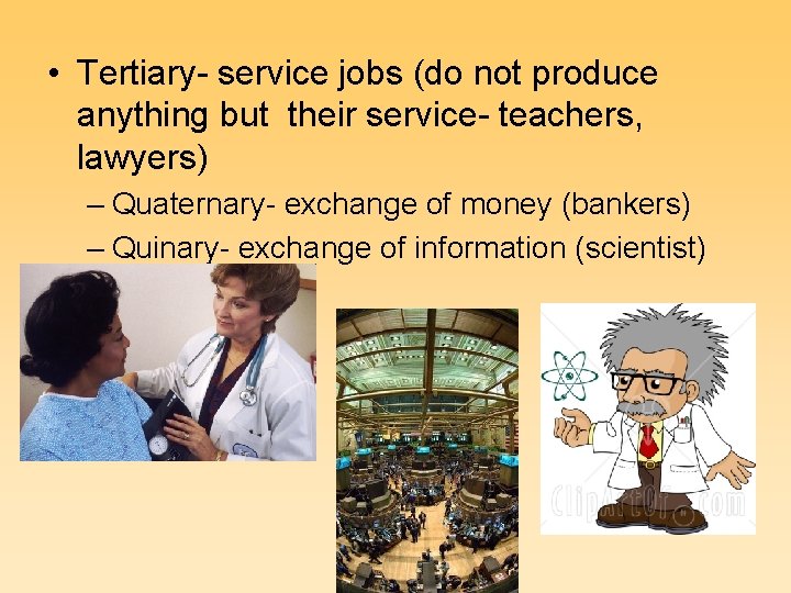  • Tertiary- service jobs (do not produce anything but their service- teachers, lawyers)