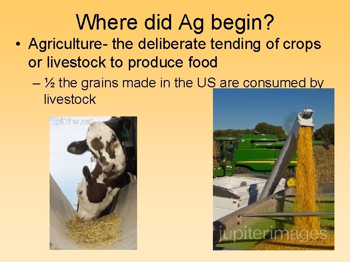 Where did Ag begin? • Agriculture- the deliberate tending of crops or livestock to