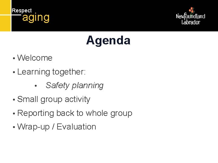 Respect aging Agenda • Welcome • Learning • • Small together: Safety planning group Respect aging Agenda • Welcome • Learning • • Small together: Safety planning group