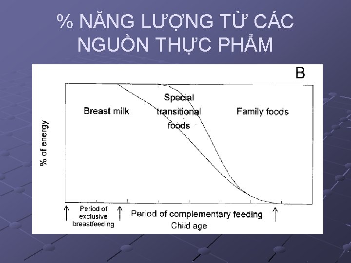 % NĂNG LƯỢNG TỪ CÁC NGUỒN THỰC PHẨM 