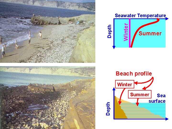 Winter Depth Seawater Temperature Summer Beach profile Depth Winter Summer Sea surface 