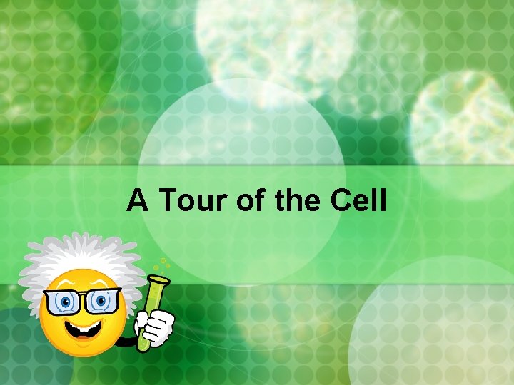 A Tour of the Cell 