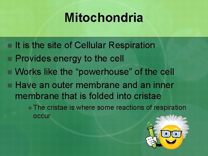 Mitochondria It is the site of Cellular Respiration n Provides energy to the cell